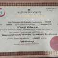 Resmi büyüt: certificate 2