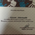 Resmi büyüt: certificate 13
