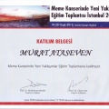 Resmi büyüt: certificate 14