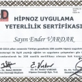 Resmi büyüt: certificate 2