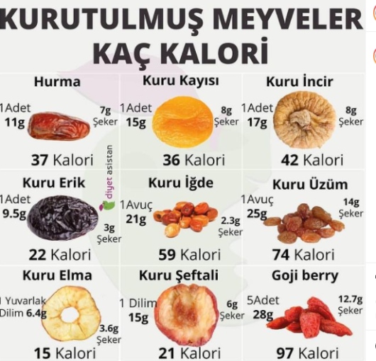 Nazan Dirik Şahin-15