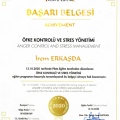 Resmi büyüt: certificate 4