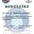 Resmi büyüt: certificate 3