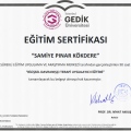 Resmi büyüt: certificate 1