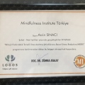 Resmi büyüt: certificate 9