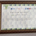 Resmi büyüt: certificate 4
