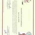 Resmi büyüt: certificate 1