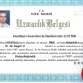 Resmi büyüt: certificate 2