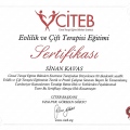 Resmi büyüt: certificate 2
