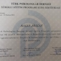 Resmi büyüt: certificate 7