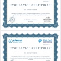Resmi büyüt: certificate 6