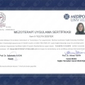 Resmi büyüt: certificate 9