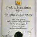 Resmi büyüt: certificate 10