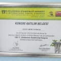Resmi büyüt: certificate 5