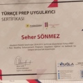 Resmi büyüt: certificate 17