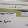 Resmi büyüt: certificate 5
