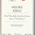 Resmi büyüt: certificate 2