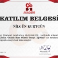 Resmi büyüt: certificate 11
