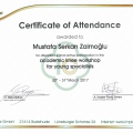 Resmi büyüt: certificate 6