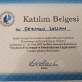 Resmi büyüt: certificate 13