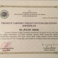 Resmi büyüt: certificate 3