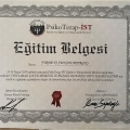 Resmi büyüt: certificate 2