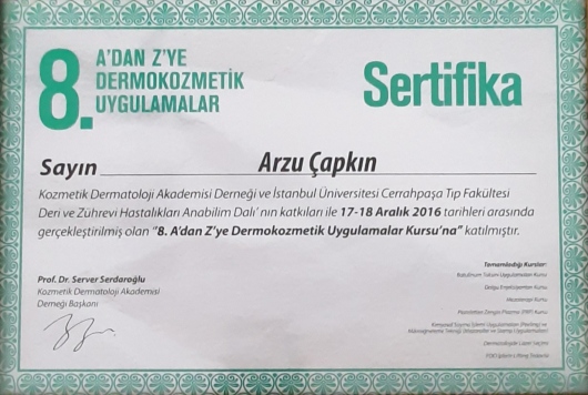 Arzu Aydın Çapkın-2