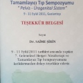 Resmi büyüt: certificate 8