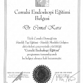 Resmi büyüt: certificate 27