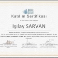 Resmi büyüt: certificate 2