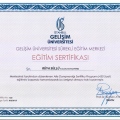 Resmi büyüt: certificate 7