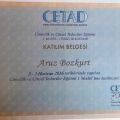 Resmi büyüt: certificate 3
