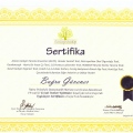 Resmi büyüt: certificate 6