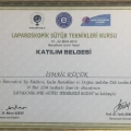 Resmi büyüt: certificate 7