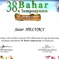 Resmi büyüt: certificate 6