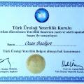 Resmi büyüt: certificate 3