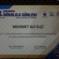Resmi büyüt: certificate 42