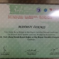 Resmi büyüt: certificate 2