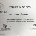 Resmi büyüt: certificate 3
