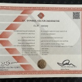 Resmi büyüt: certificate 1