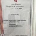 Resmi büyüt: certificate 29