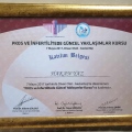 Resmi büyüt: certificate 46