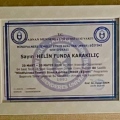 Resmi büyüt: certificate 10