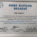 Resmi büyüt: certificate 4