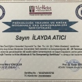 Resmi büyüt: certificate 14