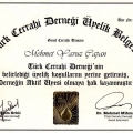 Resmi büyüt: certificate 22