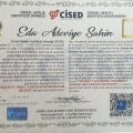 Resmi büyüt: certificate 6