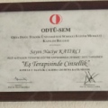 Resmi büyüt: certificate 6