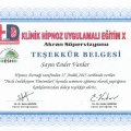 Resmi büyüt: certificate 13