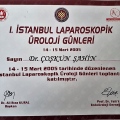 Resmi büyüt: certificate 7
